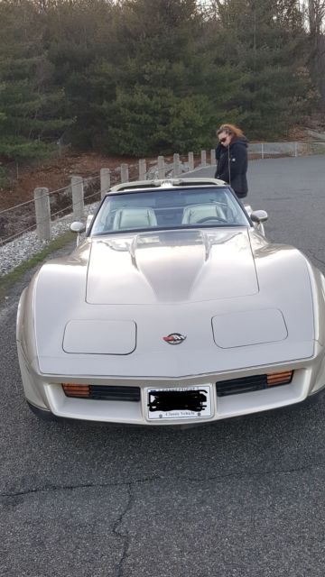 1982 Chevrolet Corvette Collectors edition - photo 8