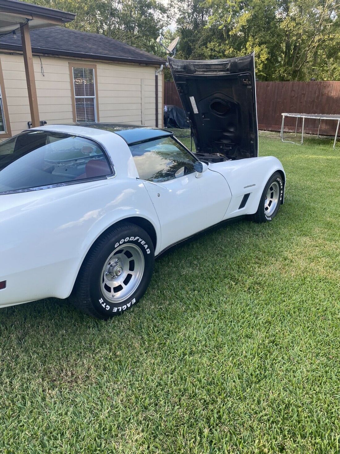 1982 Chevrolet Corvette - photo 5