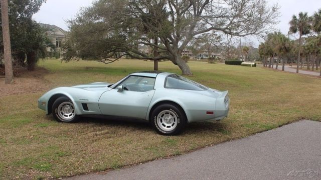 1982 Chevrolet Corvette Base Coupe 2-Door - photo 6