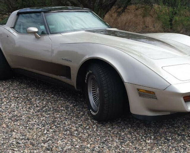1982 Chevrolet Corvette Stingray Fastback Collector Edition - photo 5