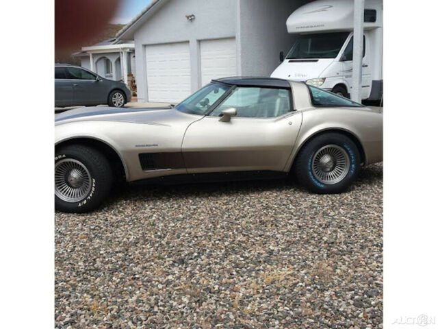 1982 Chevrolet Corvette Stingray Fastback Collector Edition - photo 6