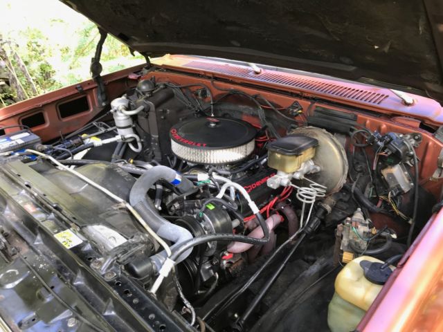 1982 Chevrolet C-10 Silverado - photo 8