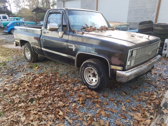 1982 Chevrolet Silverado 1500 - photo 3