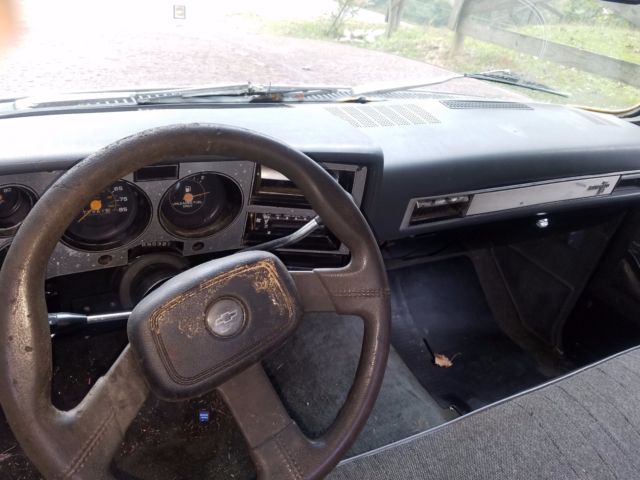 1982 Chevrolet Silverado 1500 - photo 7