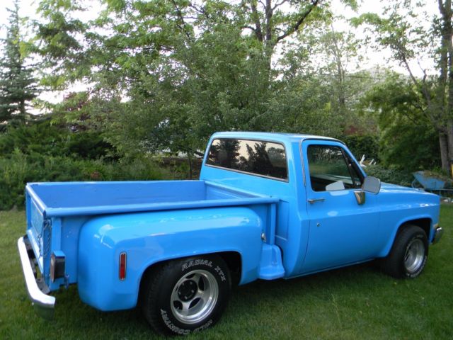 1982 Chevrolet C-10 Custom - photo 13