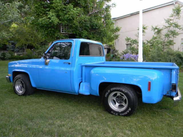 1982 Chevrolet C-10 Custom - photo 2