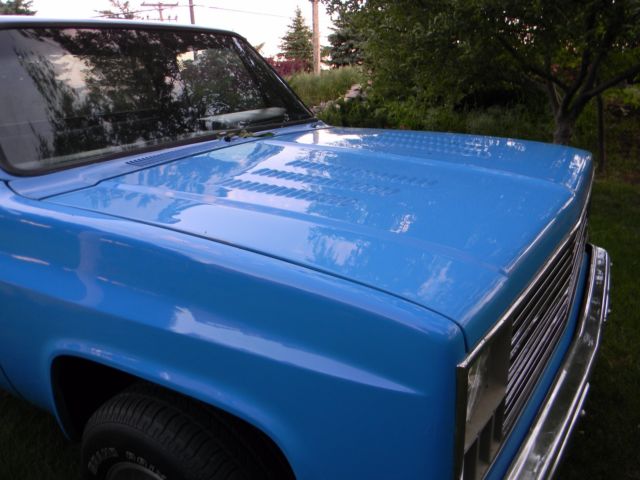1982 Chevrolet C-10 Custom - photo 6