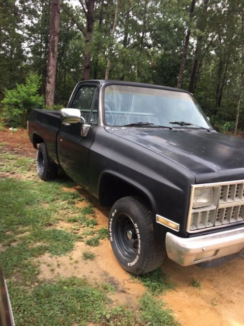 1982 Chevrolet C-10 BASE - photo 3