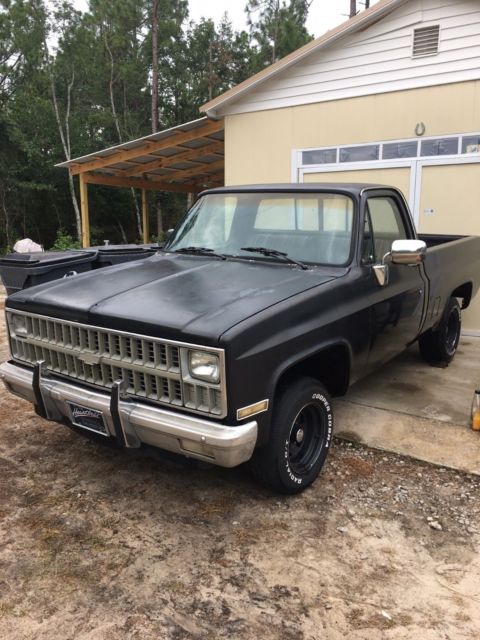 1982 Chevrolet C-10 BASE - photo 5