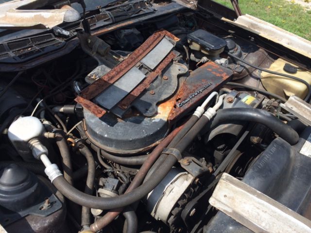 1982 Chevrolet Camaro Z-28 - photo 5
