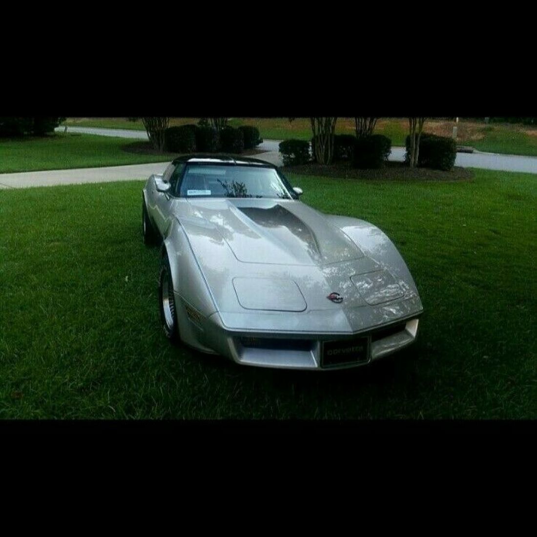 1982 Chevrolet Corvette Leather Upgrades - photo 2
