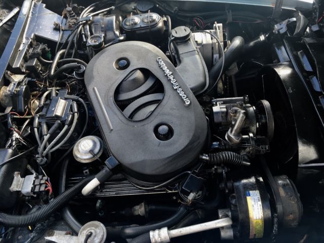 1982 Chevrolet Corvette - photo 7