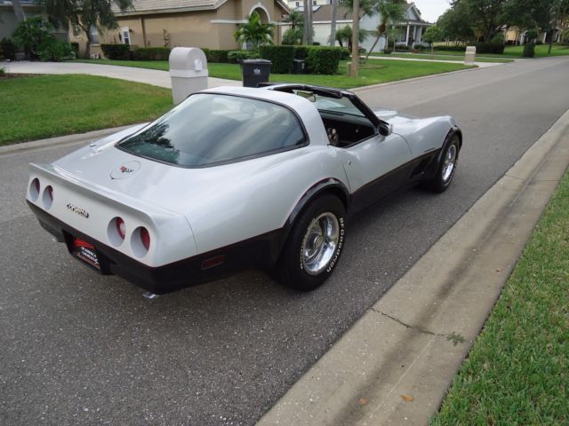 1982 Chevrolet Corvette GRAY - photo 11