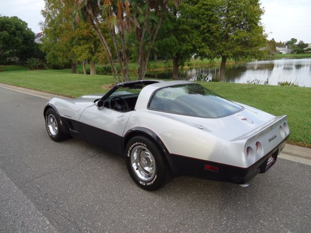 1982 Chevrolet Corvette GRAY - photo 12