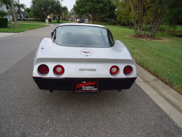 1982 Chevrolet Corvette GRAY - photo 3