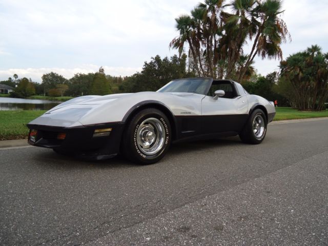 1982 Chevrolet Corvette GRAY - photo 5