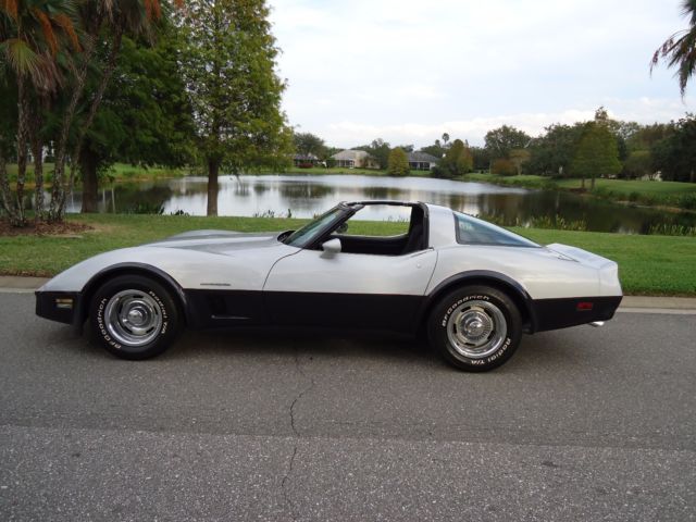 1982 Chevrolet Corvette GRAY - photo 6