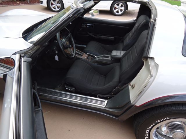 1982 Chevrolet Corvette GRAY - photo 7