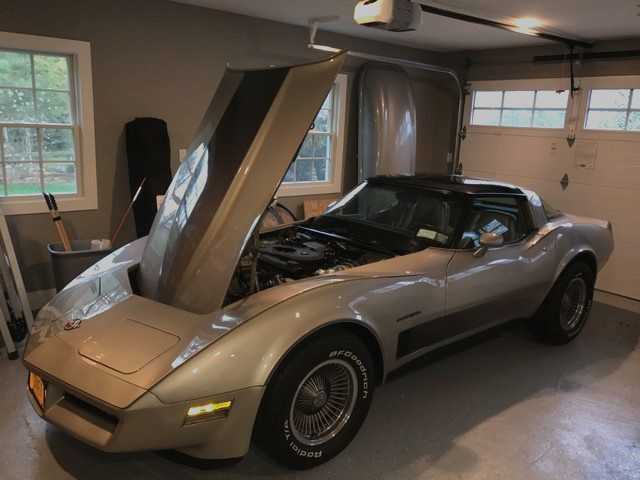1982 Chevrolet Corvette Collector Edition - photo 11