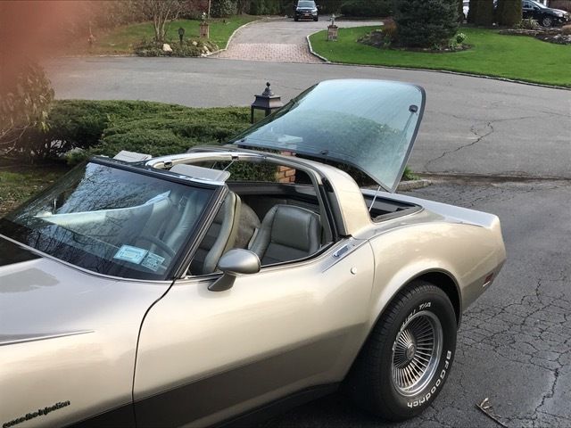 1982 Chevrolet Corvette Collector Edition - photo 9