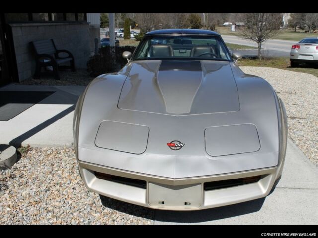1982 Chevrolet Corvette Collector Edition - photo 11