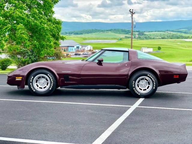 1982 Chevrolet Corvette 2dr Coupe w/ Mirror Glass T-Tops - photo 4