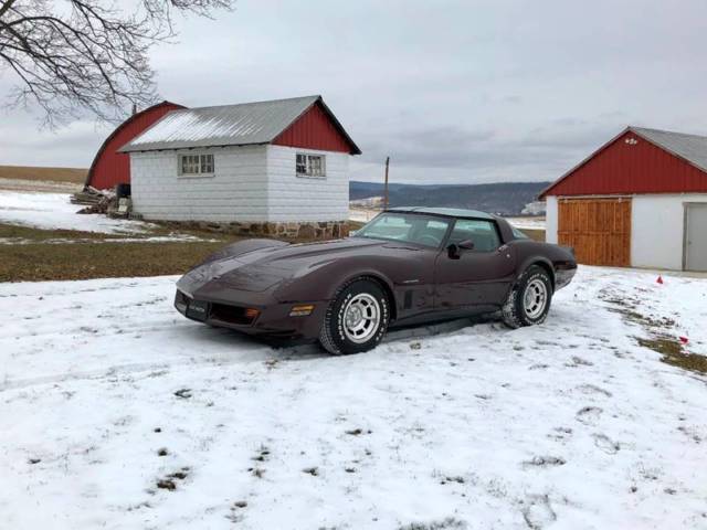 1982 Corvette Coupe *Rare Dark Claret/Silver*Restored*Automatic*KillerCosmetics* 1982 Chevrolet Corvette Base 2dr Coupe
