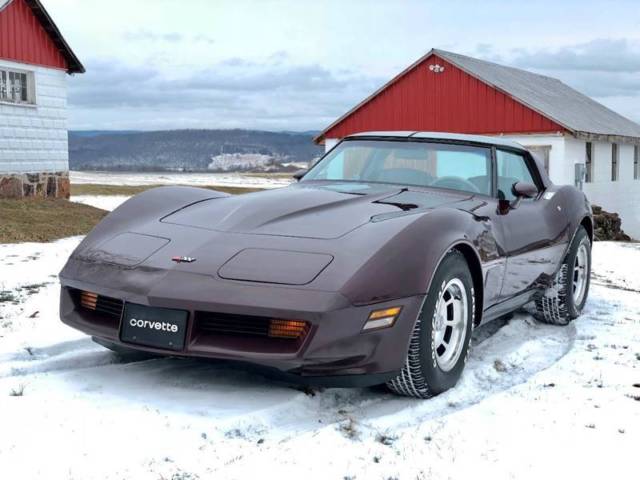 1982 Chevrolet Corvette Base 2dr Coupe - photo 2