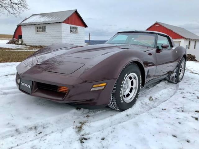 1982 Chevrolet Corvette Base 2dr Coupe - photo 4