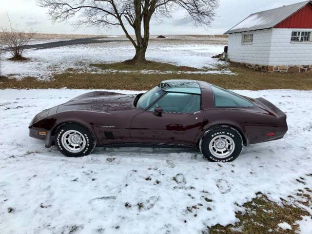 1982 Chevrolet Corvette Base 2dr Coupe - photo 5