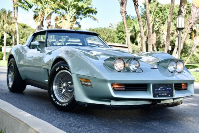1982 Chevrolet Corvette COUPE - photo 11