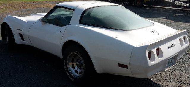 1982 Chevrolet Corvette T-tops - photo 2