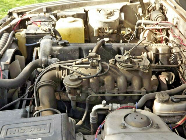 1982 Nissan Maxima Maxima - photo 11