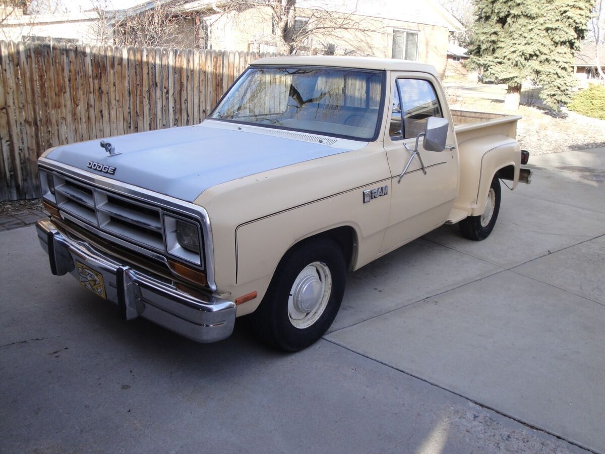 1982 Dodge D-Series D150 - photo 2