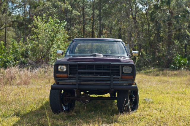 1982 Dodge Other Pickups Stepside - photo 2