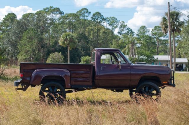 1982 Dodge Other Pickups Stepside - photo 3