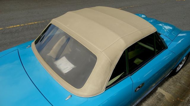 1982 Fiat SPIDER 2000 TURBO CONVERTIBLE LEGEND TURBO CHARGED - photo 10