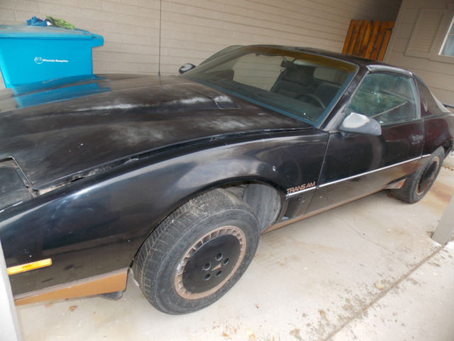 1982 Pontiac Trans Am Recaro Edition - photo 3