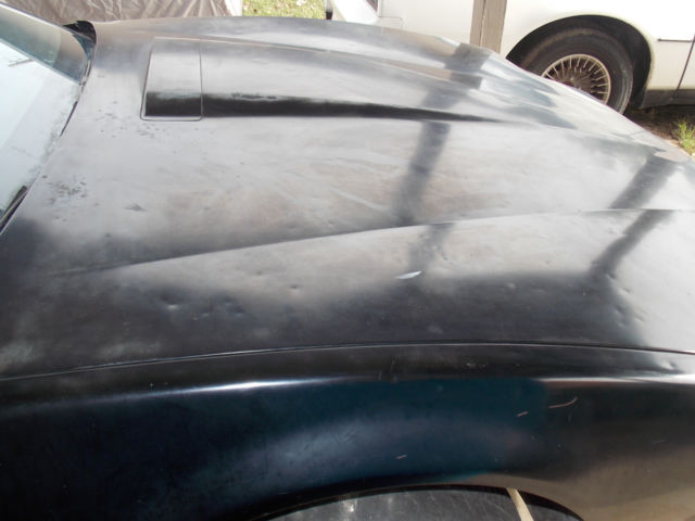 1982 Pontiac Trans Am Recaro Edition - photo 5