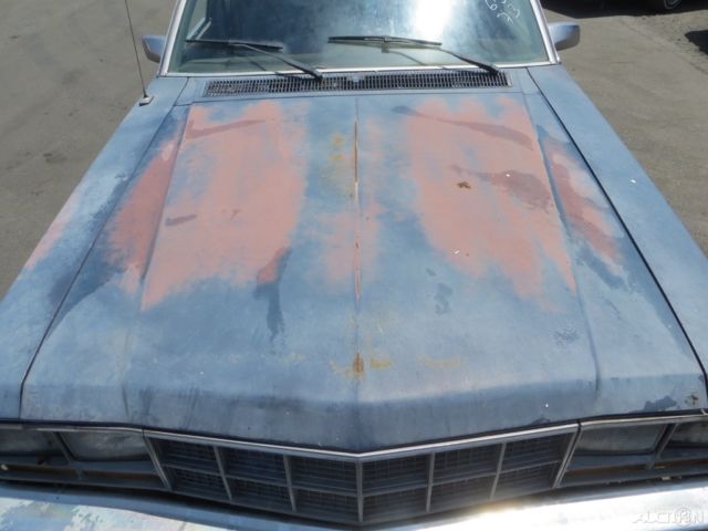 1982 Ford Fairmont Futura - photo 11