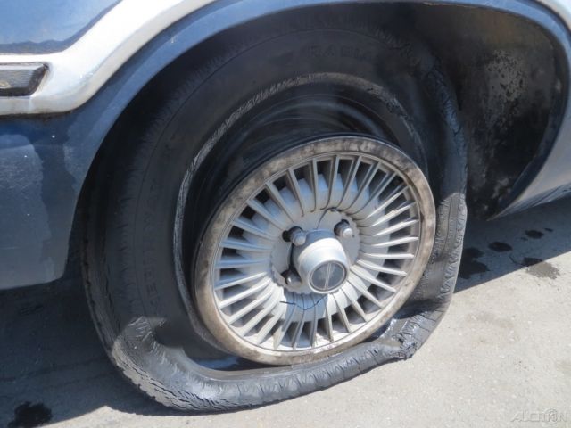 1982 Ford Fairmont Futura - photo 12