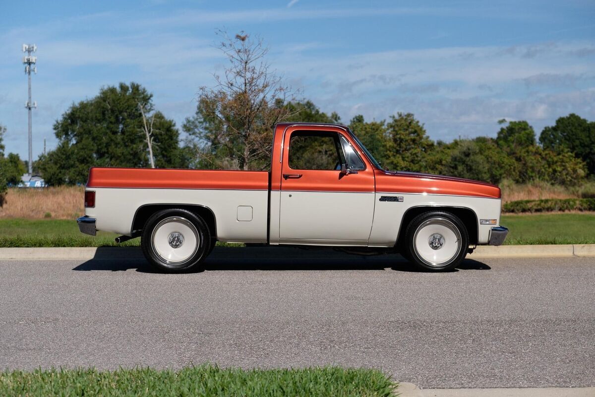 1982 GMC C/K1500 Sierra Classic Sierra Classic - photo 9