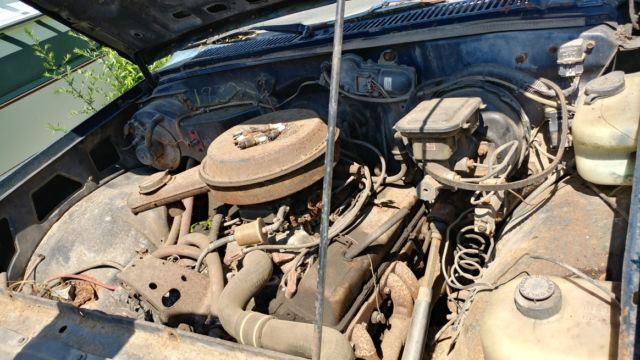 1982 GMC S-15 - photo 6