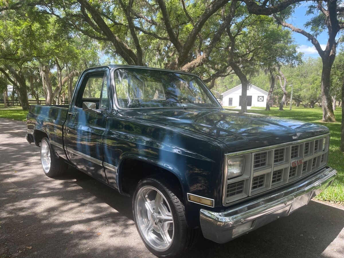 1982 GMC 1/2 Ton Pickup Sierra Classic - photo 5