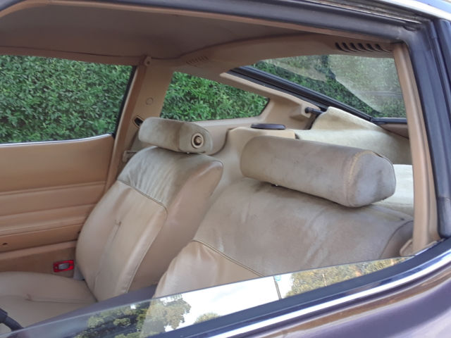 1982 Datsun Z-Series GOLD EDITION - photo 13