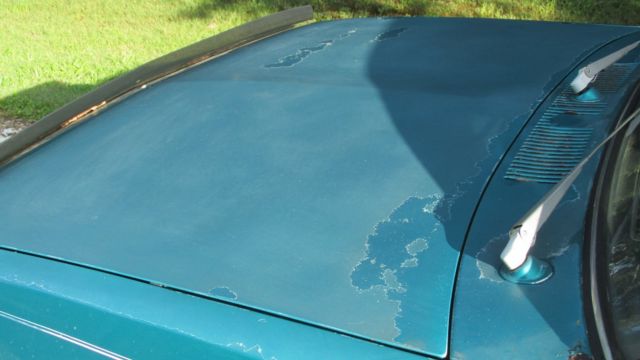 1982 Isuzu Pup - photo 6
