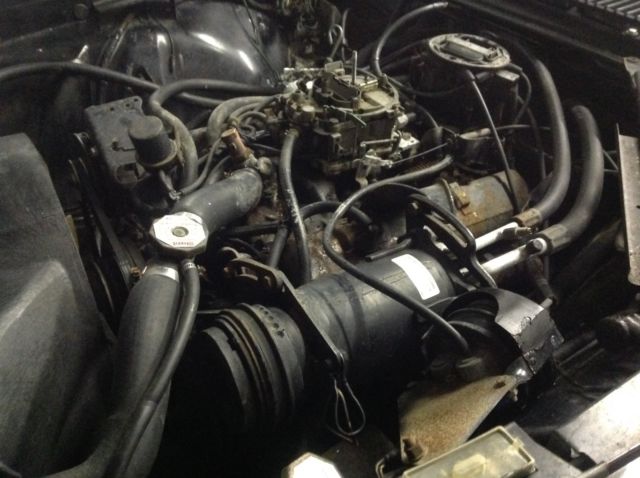 1982 Jaguar XJS - photo 10
