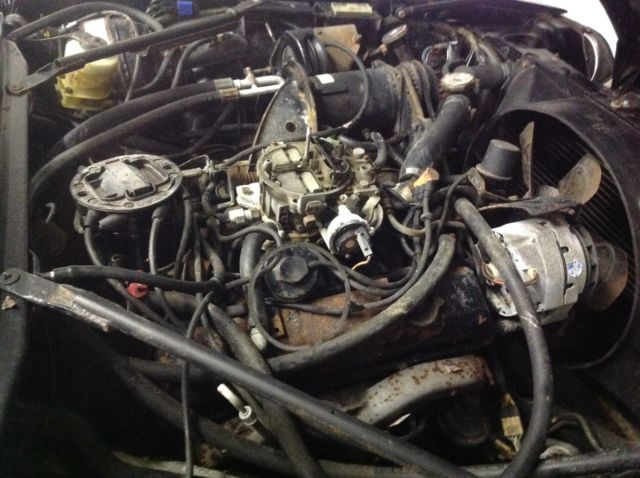 1982 Jaguar XJS - photo 11
