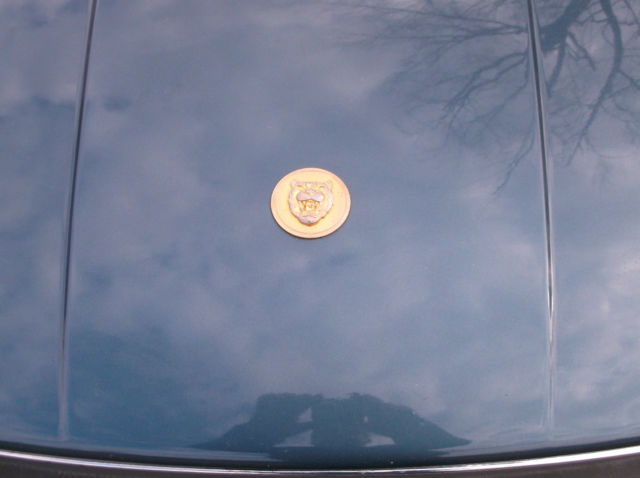 1982 Jaguar Other XJS - photo 10