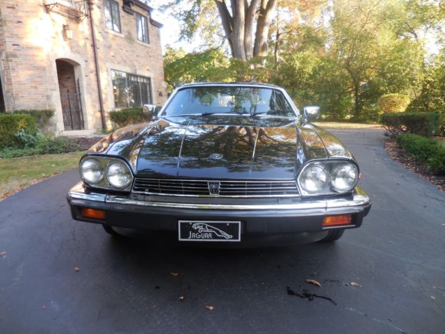 1982 Jaguar XJS HE - photo 13